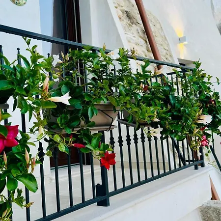 Les Petites Maisons رودي غارغانيكو