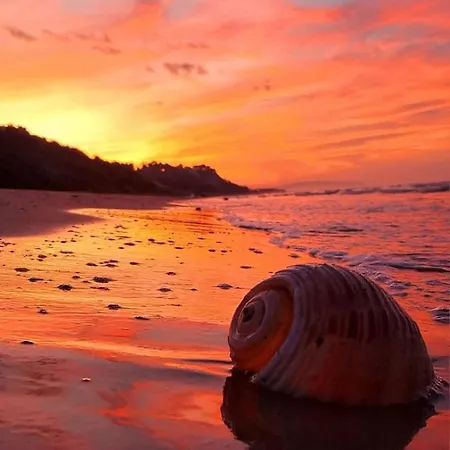 Les Petites Maisons شقة رودي غارغانيكو